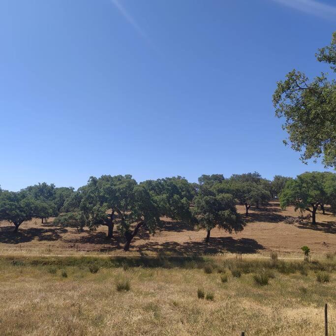 Вілла Casa Do Forno Evora Retreat Редонду Екстер'єр фото