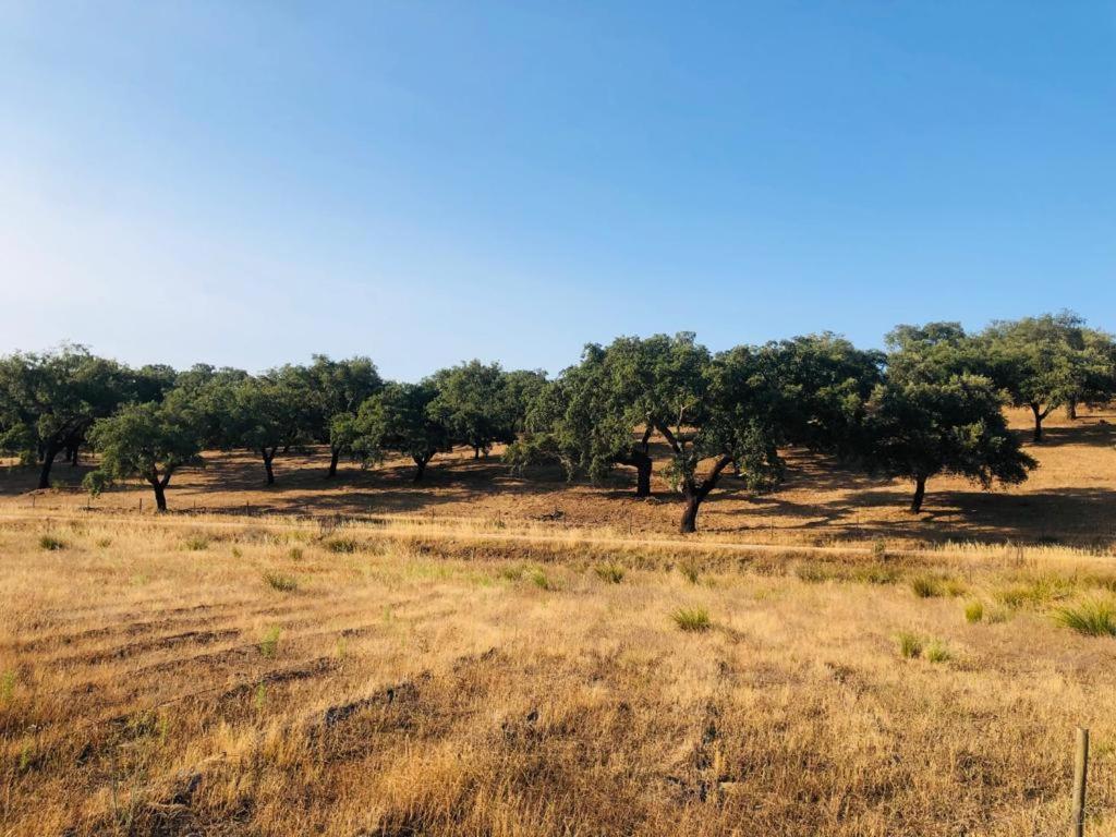 Вілла Casa Do Forno Evora Retreat Редонду Екстер'єр фото